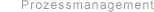 Prozessmanagement